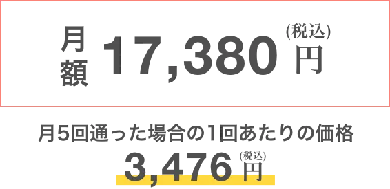 月額 17,130円（税込）