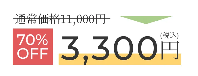 通常11,000円が70%OFFで3,278円