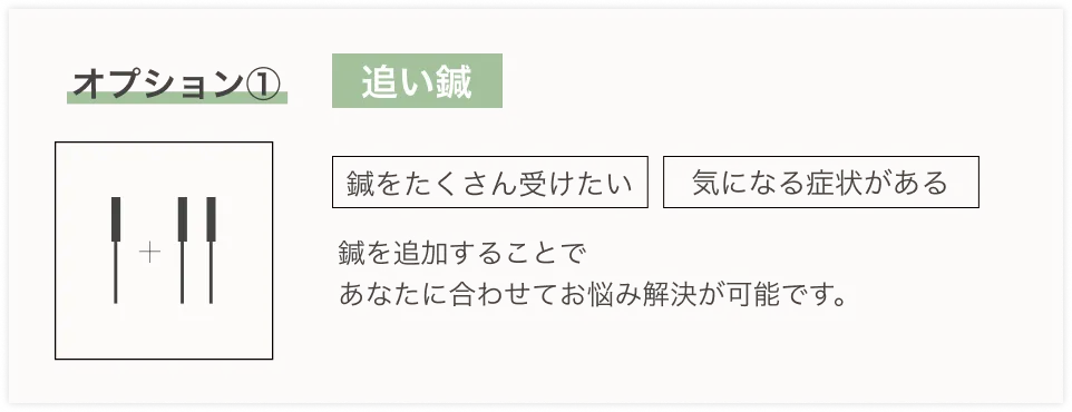 オプション① 追い鍼