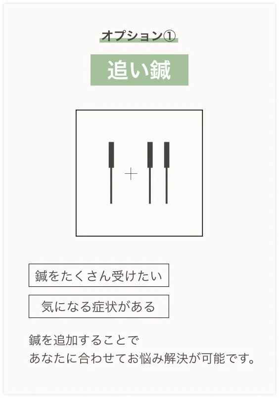 オプション① 追い鍼