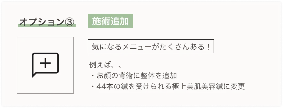 オプション③ 追い鍼