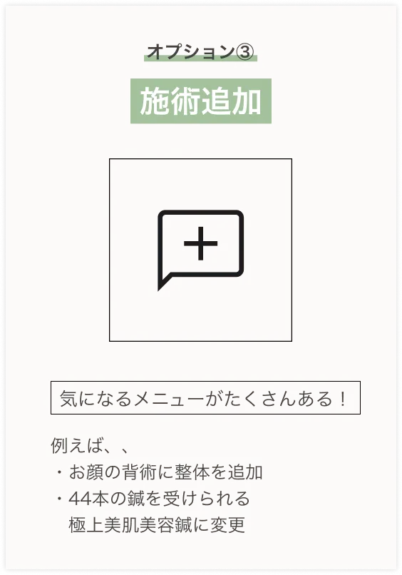 オプション③ 追い鍼