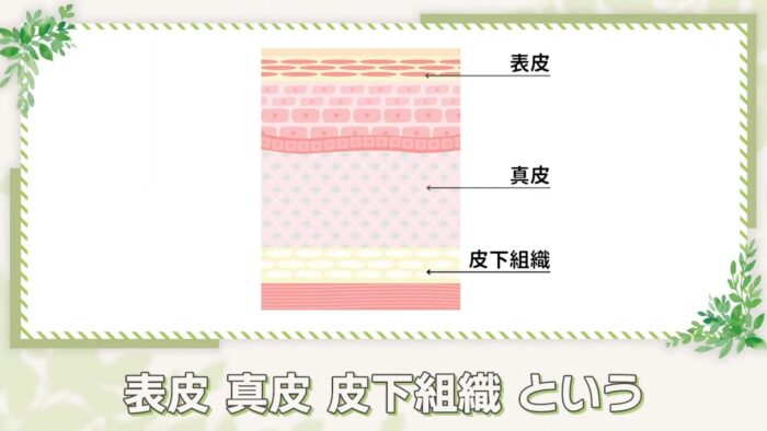 乾燥による肌弾力の低下